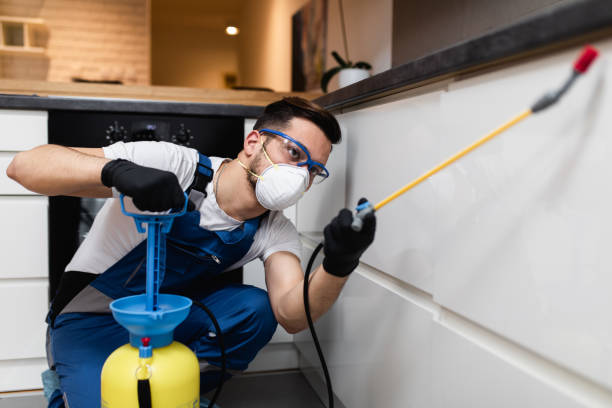 Best Wasp Removal Services  in Fort Polk South, LA
