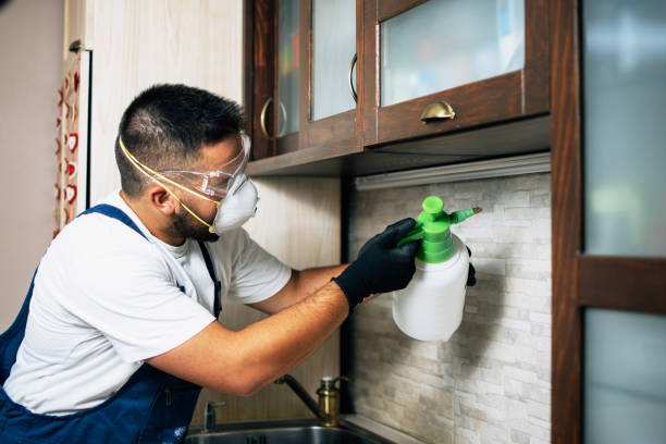 Insect Control in Fort Polk South, LA