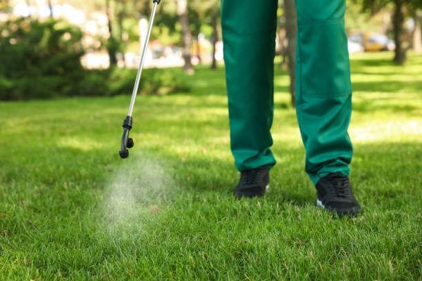Best Termite Control Services  in Fort Polk South, LA