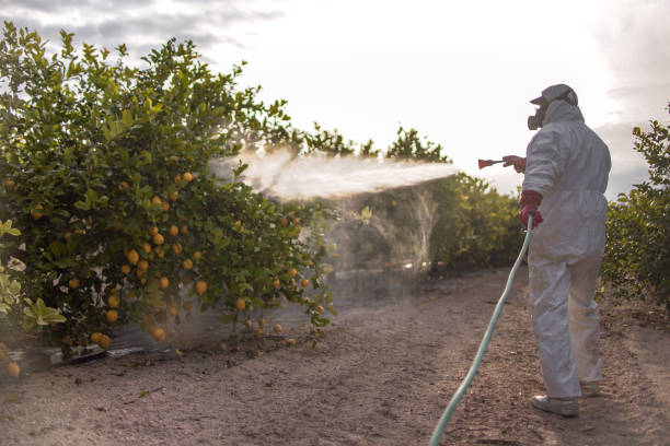 Best Mosquito Control Services  in Fort Polk South, LA