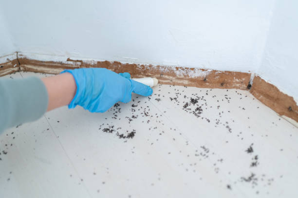 Best Commercial Pest Control Services  in Fort Polk South, LA